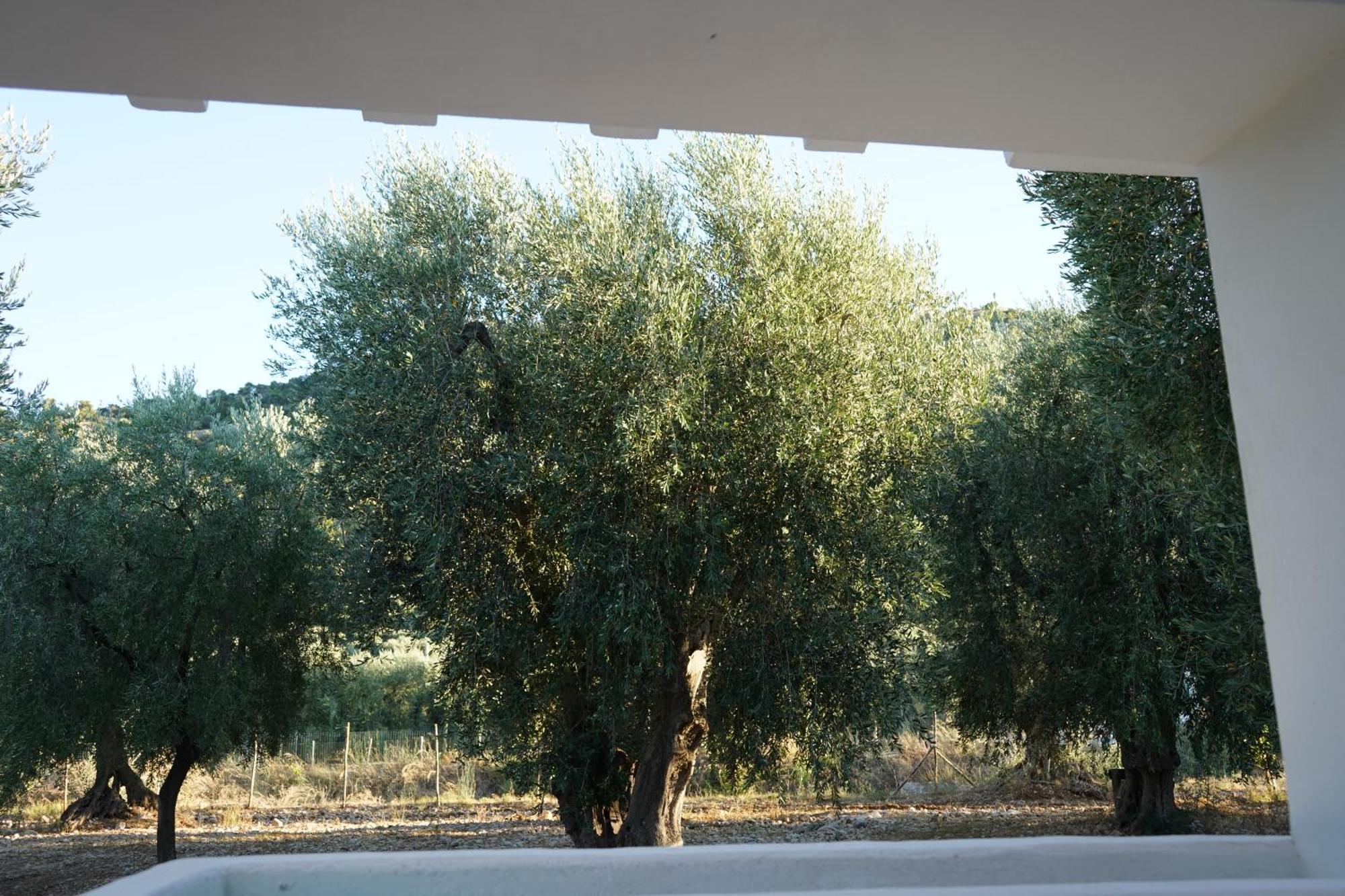 Olive&Sea Villa-Olive Mattinata Esterno foto