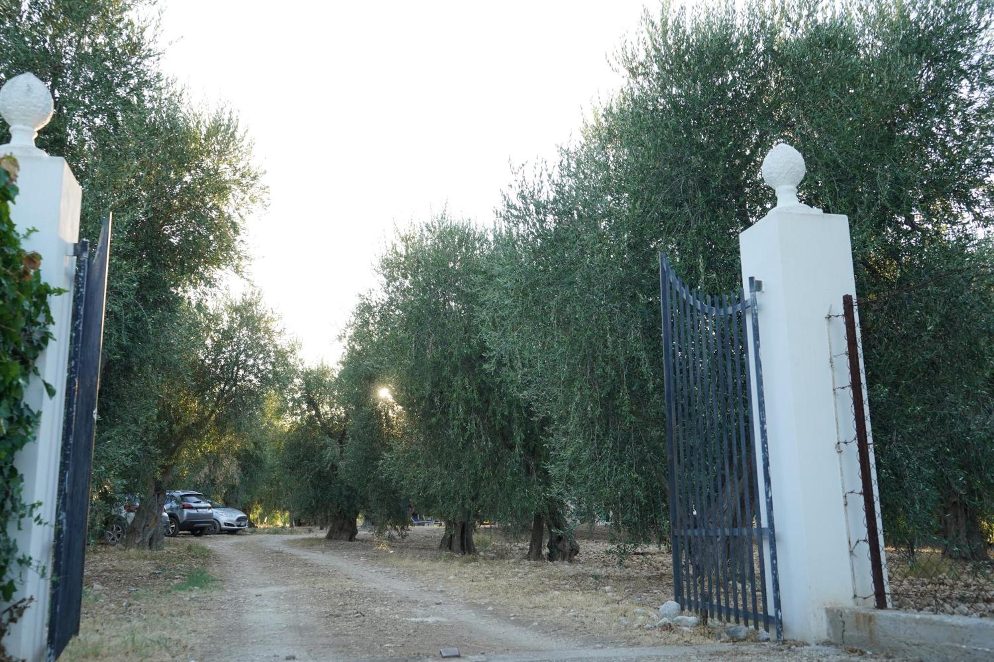 Olive&Sea Villa-Olive Mattinata Esterno foto