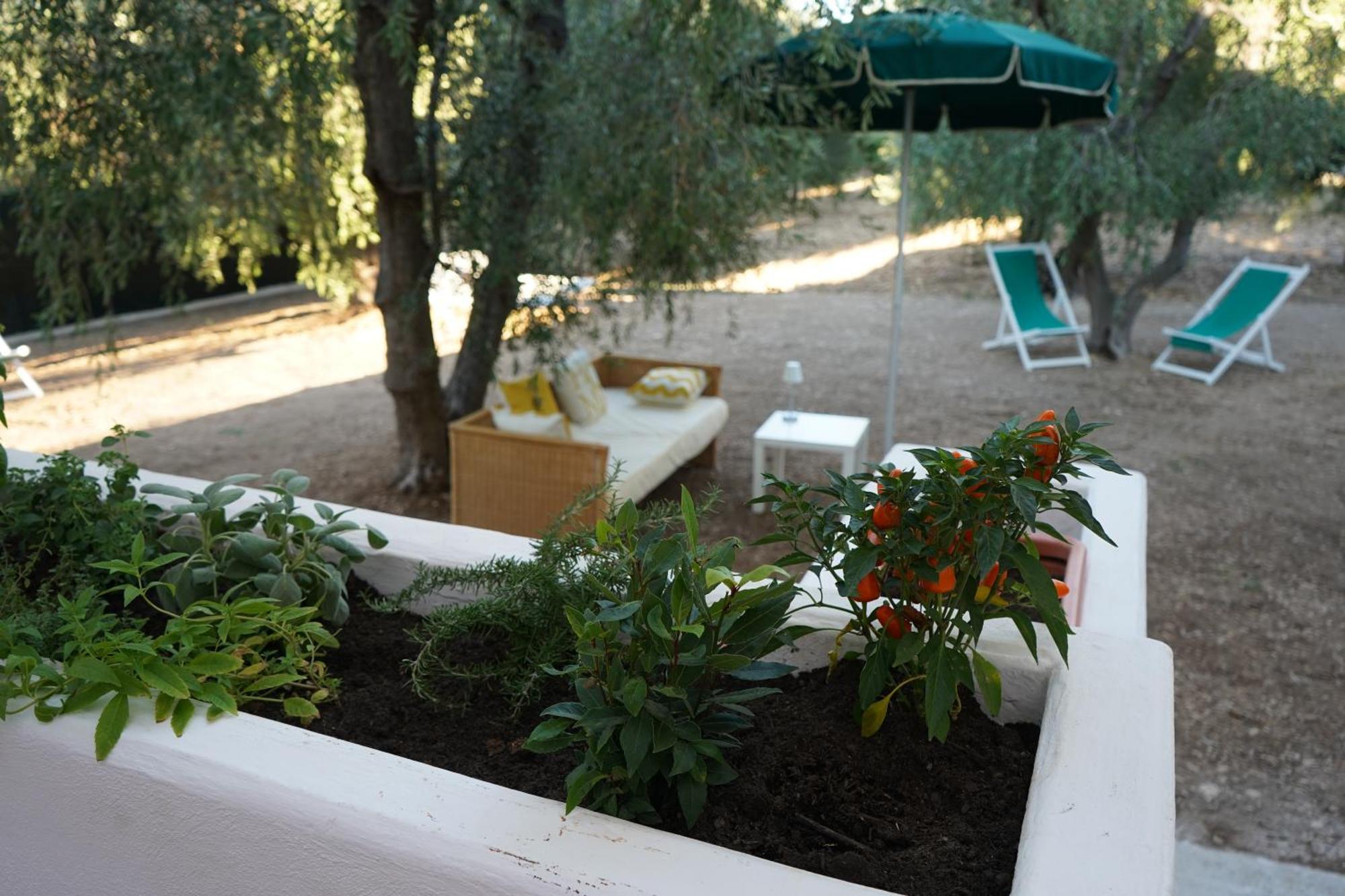 Olive&Sea Villa-Olive Mattinata Esterno foto