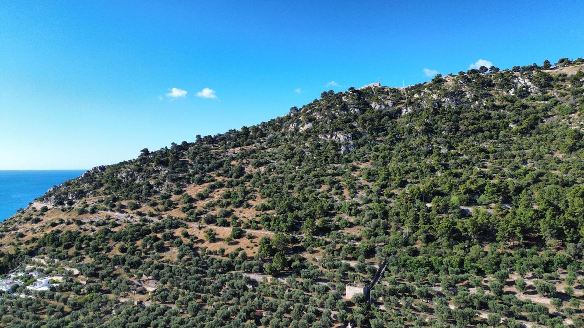 Olive&Sea Villa-Olive Mattinata Esterno foto