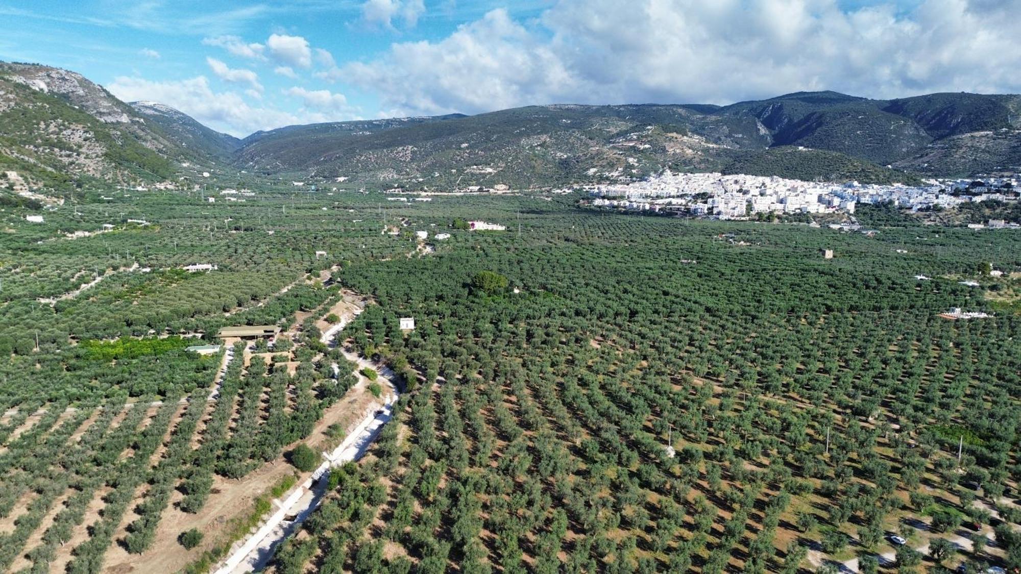 Olive&Sea Villa-Olive Mattinata Esterno foto