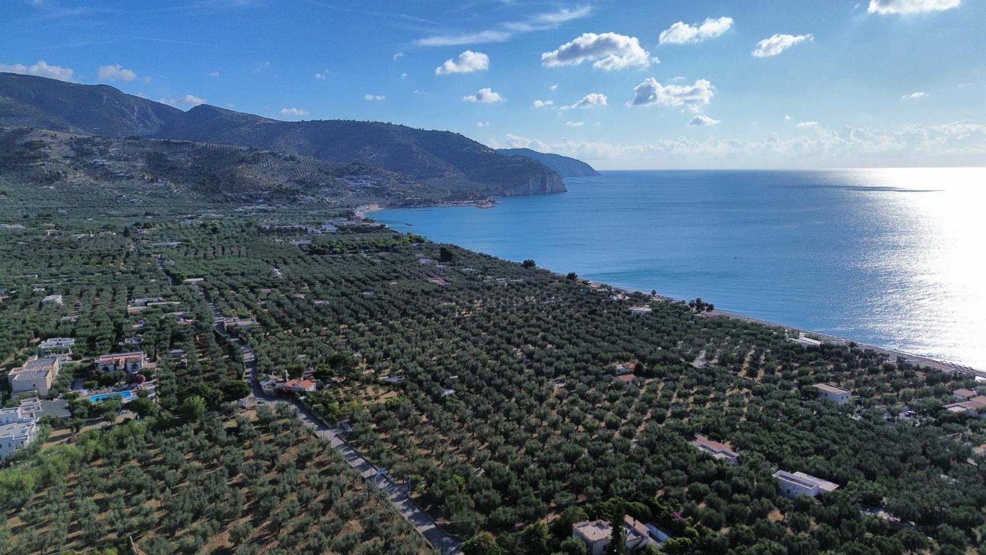 Olive&Sea Villa-Olive Mattinata Esterno foto